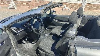 Peugeot 207/207+ Peugeot 207 1,6 hdi cabrio platinium picture 7