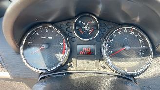 Peugeot 207/207+ Peugeot 207 1,6 hdi cabrio platinium picture 8