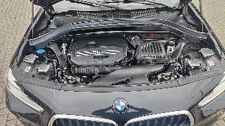 BMW X2 BMW X2 sDrive 20 i M Sport pano leder picture 15