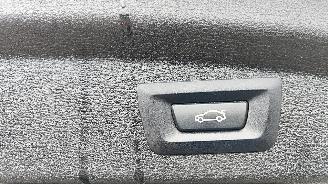 BMW X2 BMW X2 sDrive 20 i M Sport pano leder picture 17