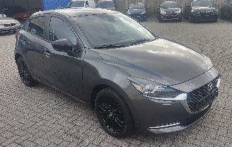 Mazda 2 Mazda 2 SKYACTIV-G Homura navi camera nieuwstaat picture 8