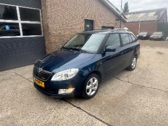 skadebil auto Skoda Fabia  2012/1