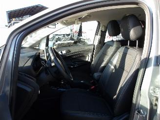 Ford EcoSport  picture 12