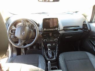 Ford EcoSport  picture 13
