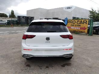 Volkswagen Golf GTE picture 6