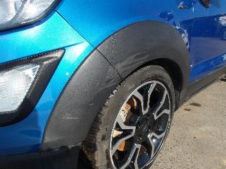 Ford EcoSport  picture 11