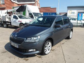 škoda osobní automobily Skoda Fabia  2019/1