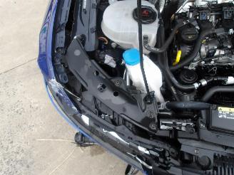 Volkswagen Golf R 20 YEARS picture 19