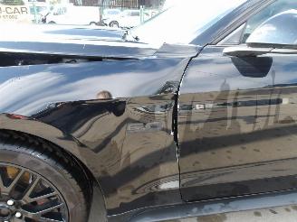 Ford Mustang  picture 10