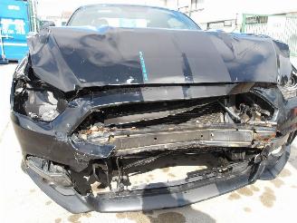 Ford Mustang  picture 12