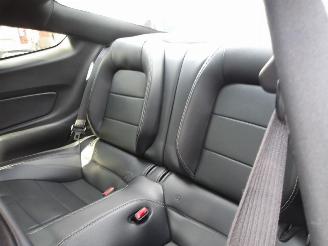 Ford Mustang  picture 23