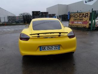 Porsche Cayman GTS picture 6