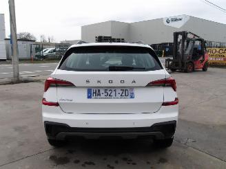 Skoda Kamiq  picture 5