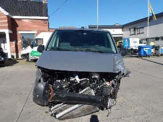 Volkswagen Transporter T6 picture 9