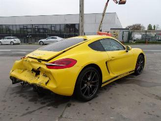 Porsche Cayman  picture 4