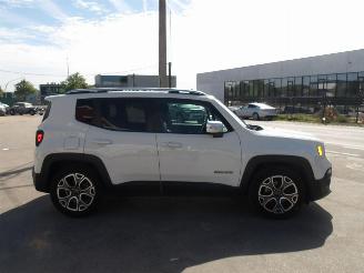 Jeep Renegade  picture 5