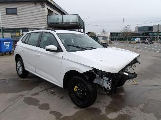 Avarii autoturisme Skoda Kamiq  2024/12