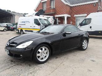 škoda osobní automobily Mercedes SLK  2004/6