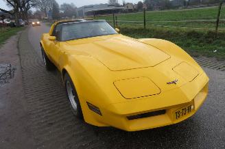 Chevrolet Corvette C3 STINGRAY 5.7 V8 T-BAR picture 20