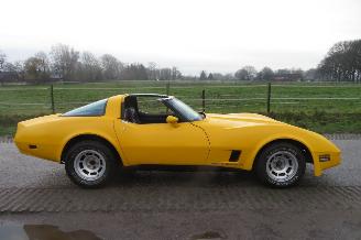 Chevrolet Corvette C3 STINGRAY 5.7 V8 T-BAR picture 12