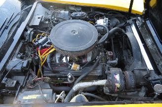 Chevrolet Corvette C3 STINGRAY 5.7 V8 T-BAR picture 23