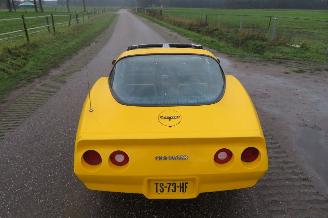 Chevrolet Corvette C3 STINGRAY 5.7 V8 T-BAR picture 15