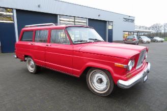 Jeep Wagoneer 3.8 6 cilinder met lpg, nl kenteken picture 10