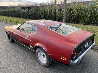 Ford Mustang MACH 1 picture 27