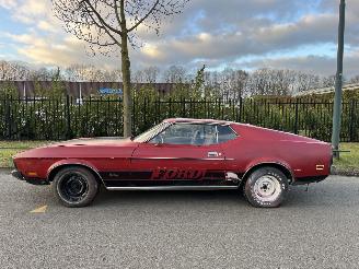 Ford Mustang MACH 1 picture 2