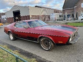 Ford Mustang MACH 1 picture 13