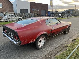 Ford Mustang MACH 1 picture 14