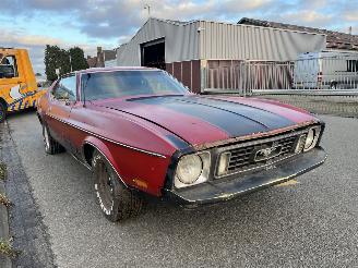 Ford Mustang MACH 1 picture 12