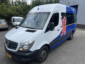 Mercedes Sprinter 313 CDI L2/H2 KOMBI / COMBI / PERSONENBUS, PRIJS IS EXCL. BTW ! picture 31