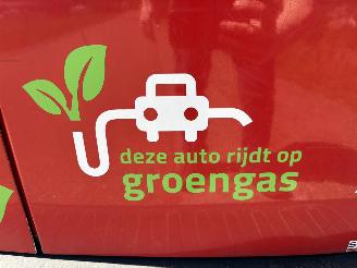 Fiat Doblo Cargo 1.4 t-jet L2/H1 Maxi BENZINE + CNG !!! AIRCO picture 21