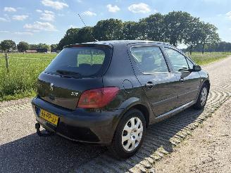 Peugeot 307 1.6-16V NAVTECH picture 16