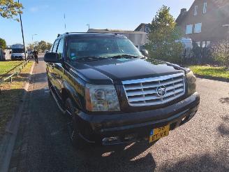 Cadillac Escalade V8 6.0 benzine + lpg 4 wheel drive picture 11