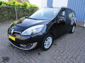 škoda osobní automobily Renault Grand-scenic 1.2 TCE Bose Navi Clima 6-Bak 2013/7
