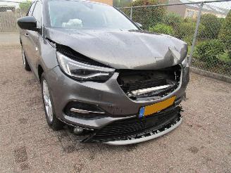 Opel Grandland X 1.2 T Navi Panodak 6-Bak picture 8
