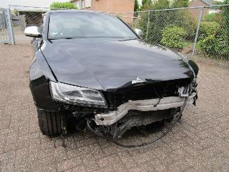 Audi S5 4.2 V8 Coupe Quattro Navi Clima picture 6