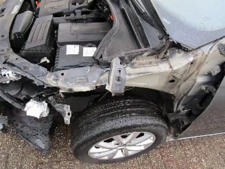 Volkswagen Golf 1.6 TDI Navi Clima picture 10