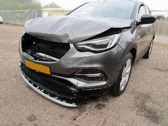 Opel Grandland X 1.2T Camera Navi Panodak 6-Bak picture 5