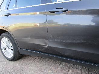 BMW X5 4.0 Hybride AWD Leder Navi picture 7
