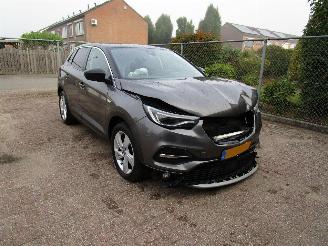 Opel Grandland X 1.2 T Navi Panodak Camera picture 3