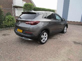 Opel Grandland X 1.2 T Navi Panodak Camera picture 4