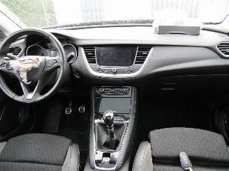 Opel Grandland X 1.2 T Navi Panodak Camera picture 16