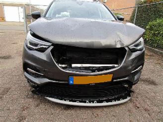 Opel Grandland X 1.2 T Navi Panodak Camera picture 7