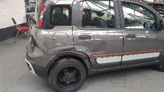 Fiat Panda 1.0 Hybrid Garmin Cross picture 5