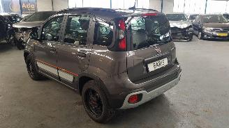 Fiat Panda 1.0 Hybrid Garmin Cross picture 8