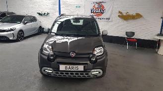 Fiat Panda 1.0 Hybrid Garmin Cross picture 2