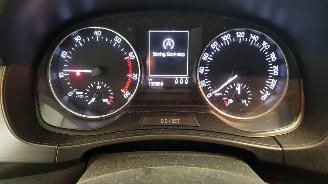 Skoda Fabia 1.0 TSI 12V COMBI 4DRS BENZ 999CC 70KW 95PK picture 11